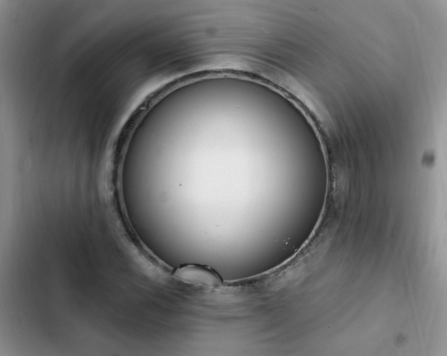 X0000103231116200808281424