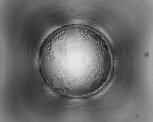 X0000103231117200808281424