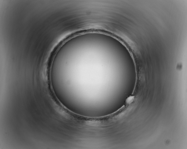 X0000103231118200808281424