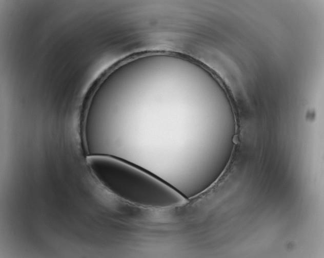 X0000103231120200808281424