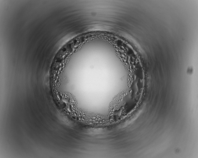X0000103231121200808281424