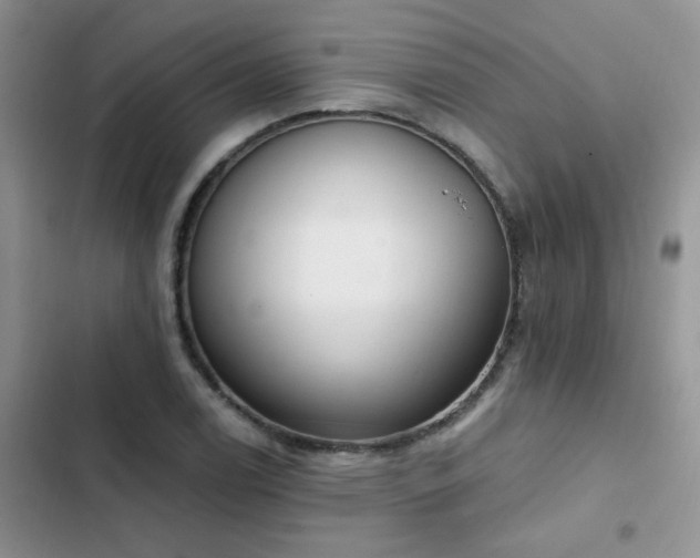 X0000103231122200808281424