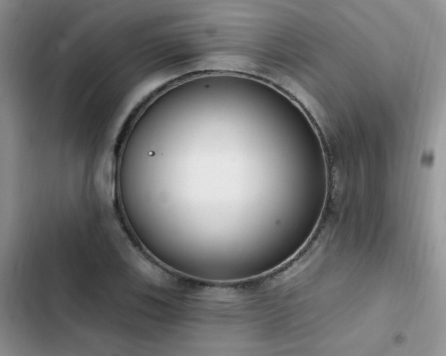 X0000103231123200808281424