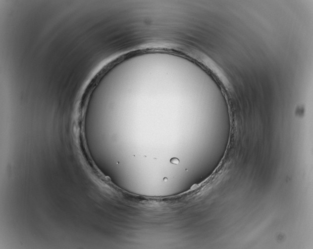 X0000103231124200808281424