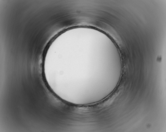 X0000103231126200808281424