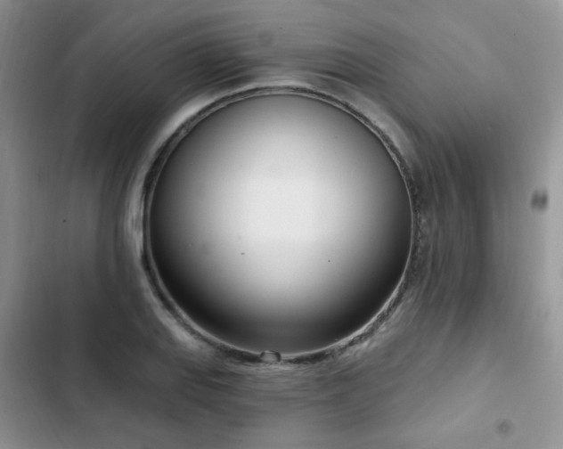X0000103231127200808281424