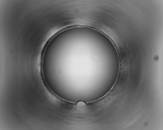 X0000103231128200808281424