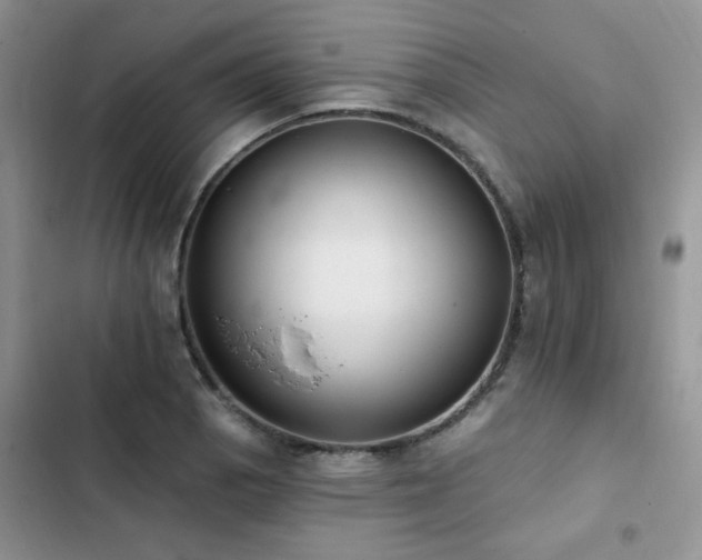 X0000103231129200808281424