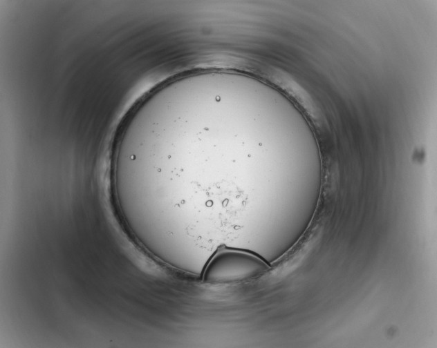 X0000103231130200808281424