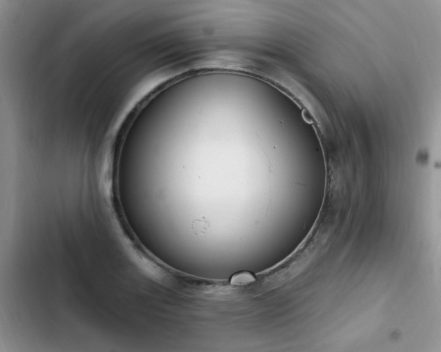 X0000103231131200808281424