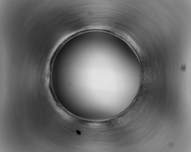 X0000103231132200808281424