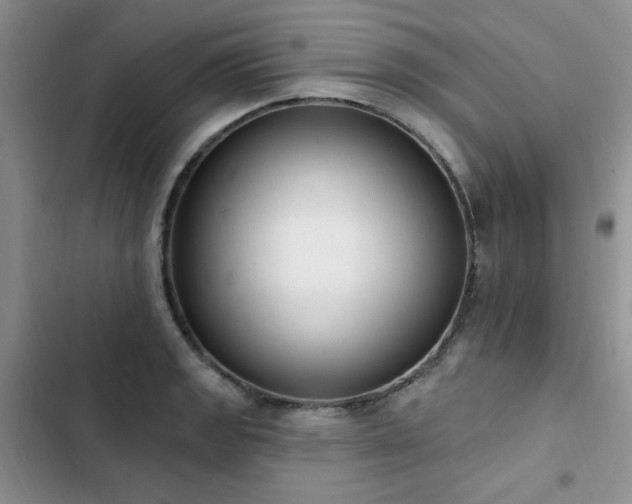 X0000103231133200808281424
