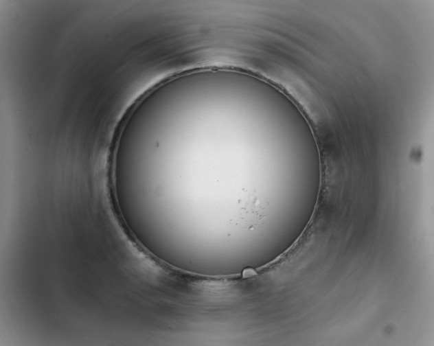 X0000103231134200808281424
