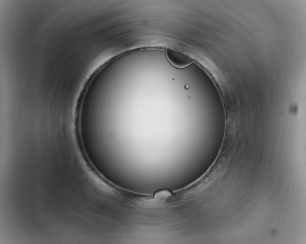 X0000103231135200808281424
