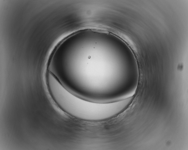 X0000103231136200808281424