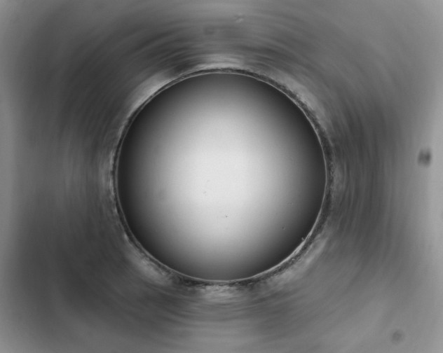 X0000103231137200808281424