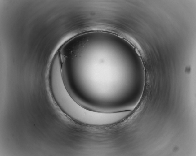 X0000103231138200808281424