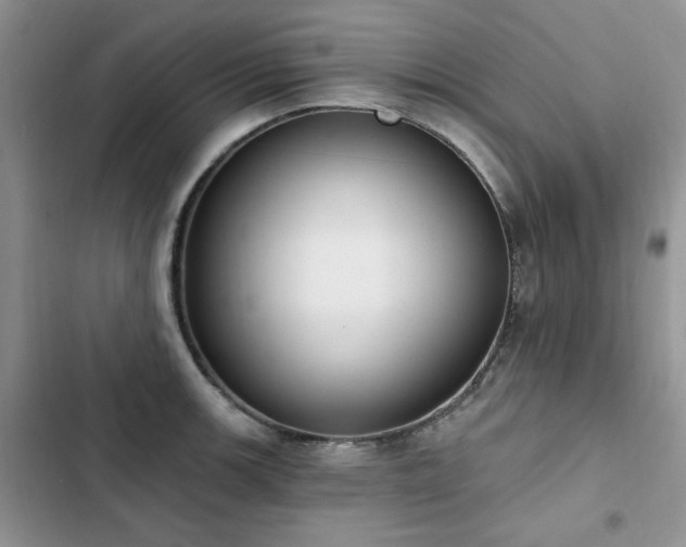 X0000103231139200808281424