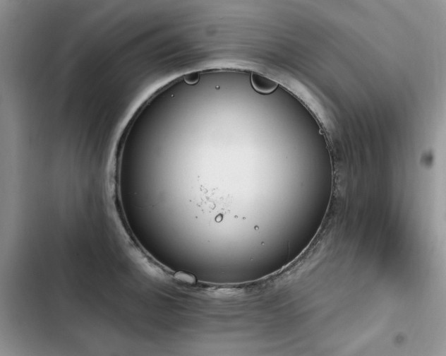 X0000103231140200808281424