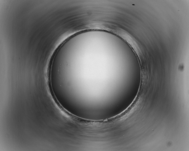 X0000103231141200808281424