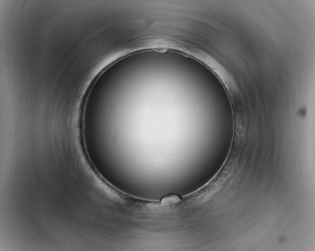 X0000103231142200808281424