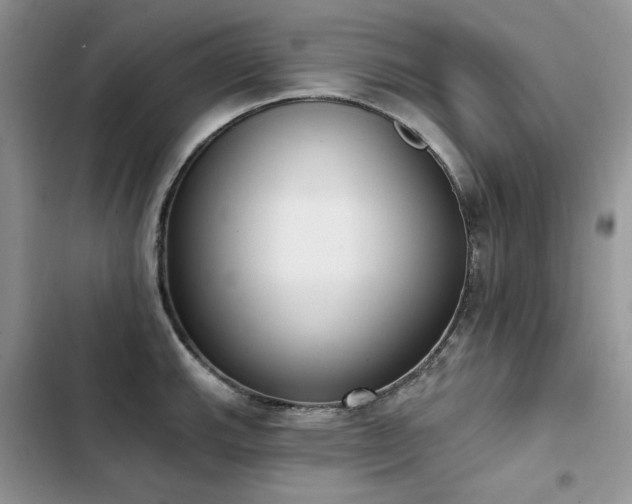 X0000103231143200808281424