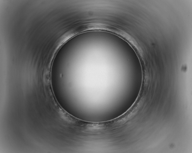 X0000103231145200808281425