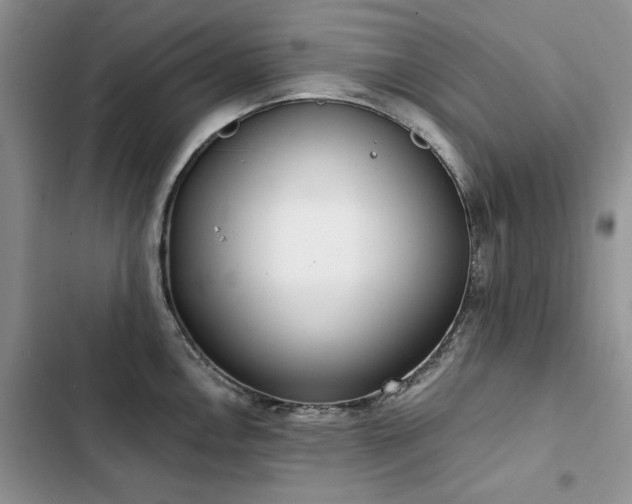 X0000103231146200808281425
