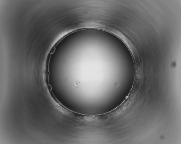 X0000103231147200808281425