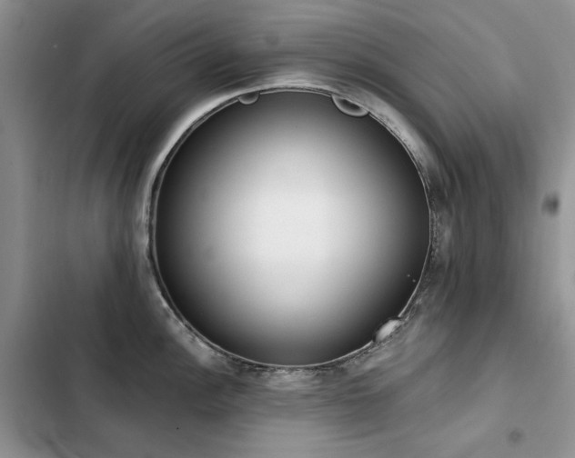 X0000103231148200808281425