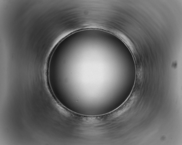 X0000103231149200808281425