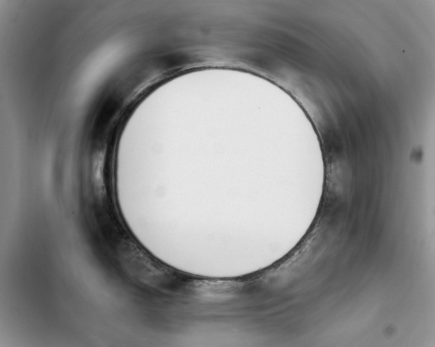 X0000103231150200808281425