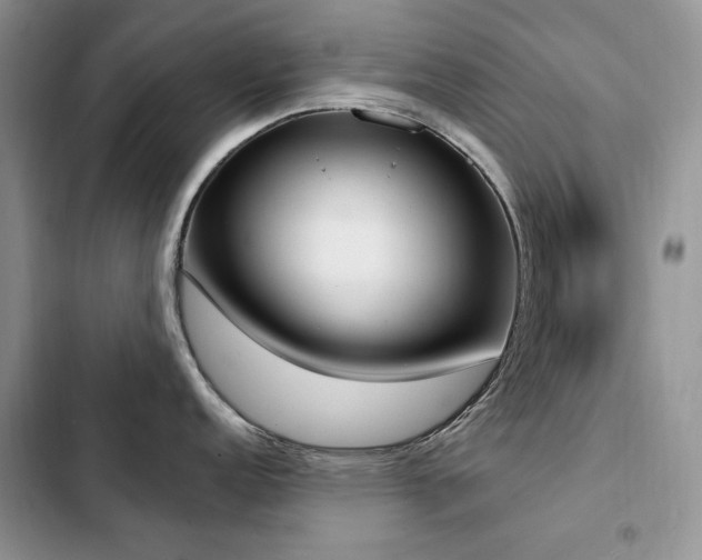 X0000103231152200808281425