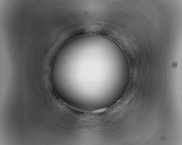X0000103231153200808281424