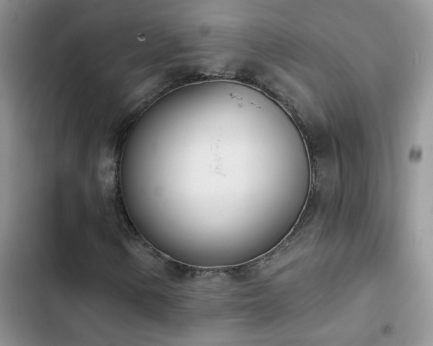 X0000103231154200808281424