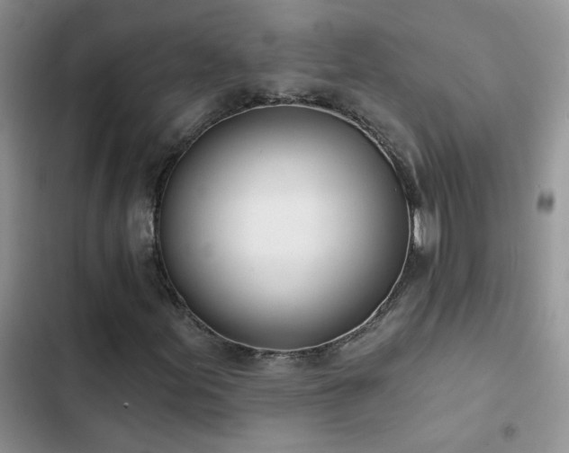 X0000103231155200808281424