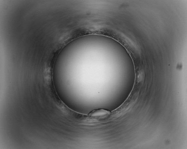 X0000103231156200808281424