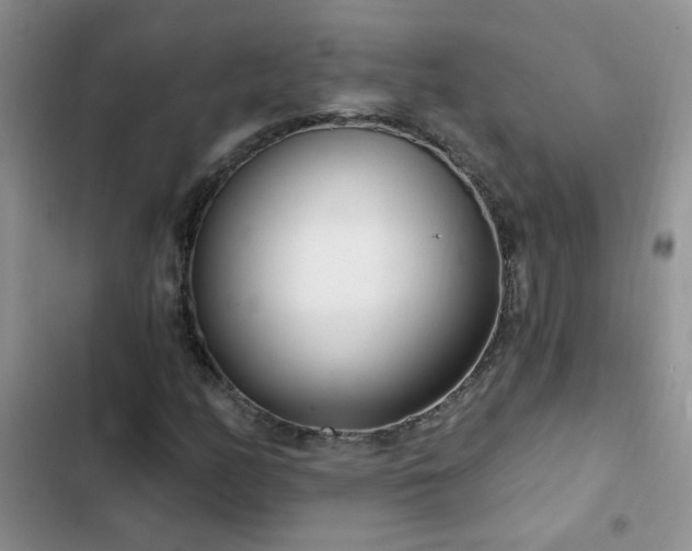 X0000103231158200808281424