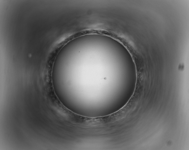 X0000103231159200808281424