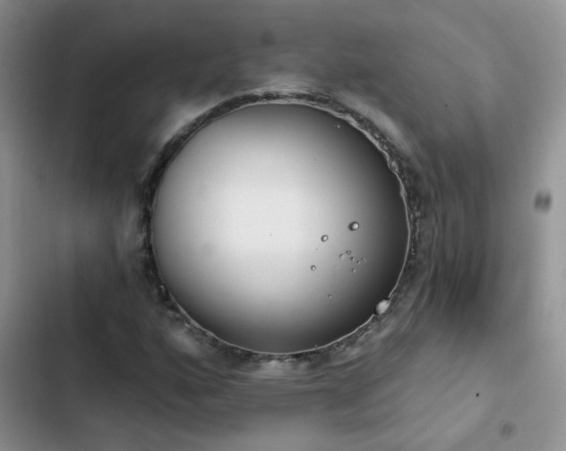 X0000103231160200808281424