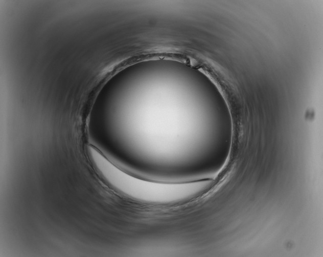 X0000103231161200808281424