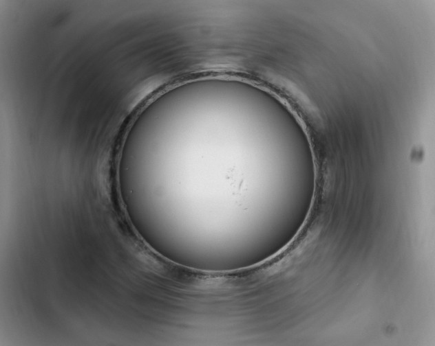 X0000103231162200808281424