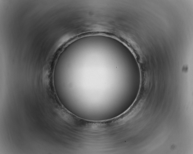 X0000103231163200808281424