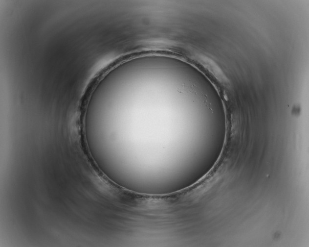 X0000103231164200808281424