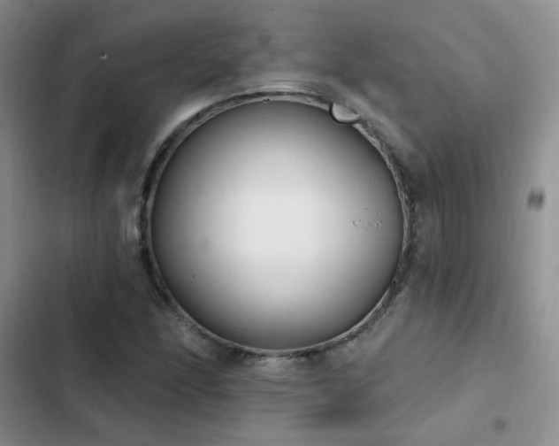 X0000103231166200808281424