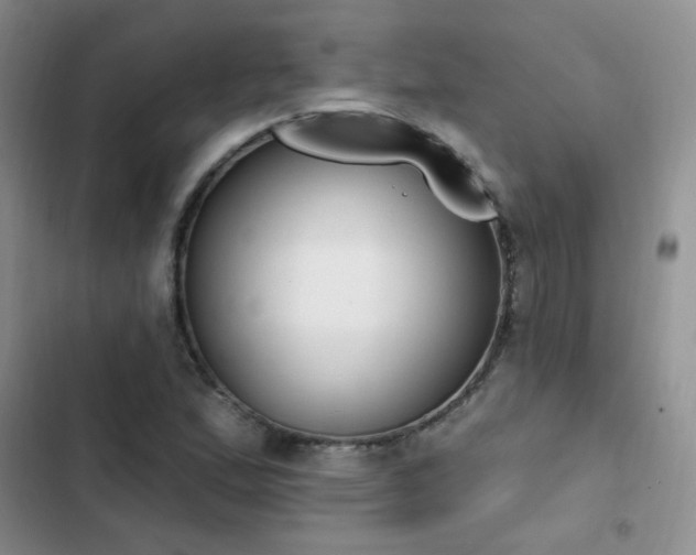 X0000103231167200808281424