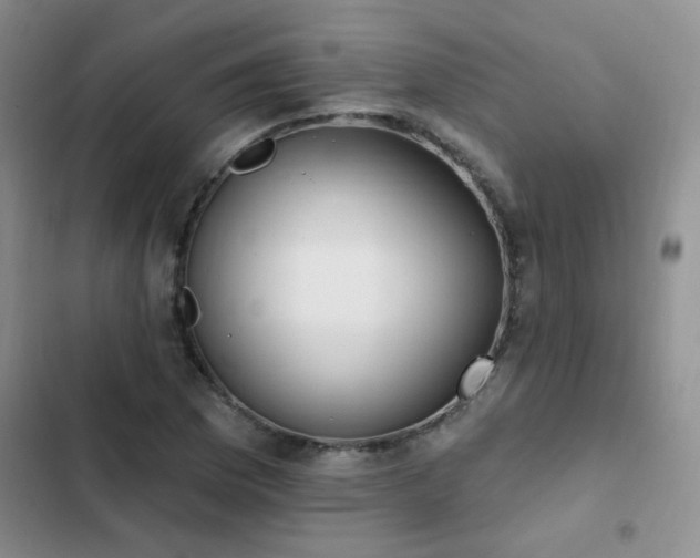 X0000103231169200808281424