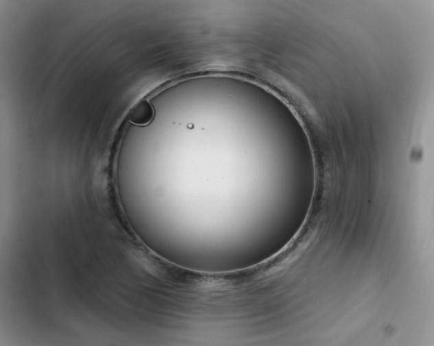 X0000103231170200808281424