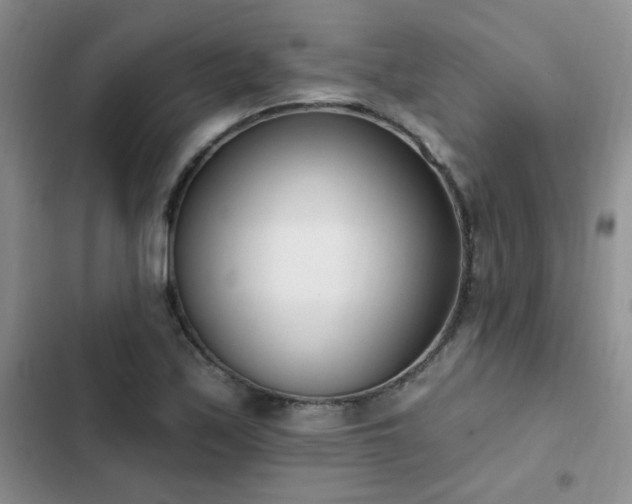 X0000103231171200808281424