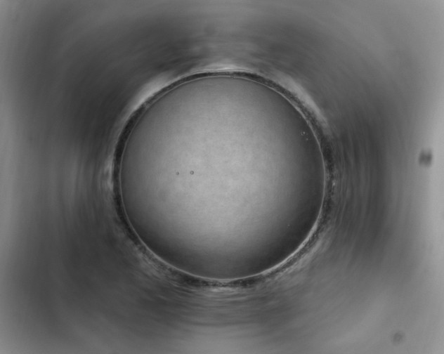 X0000103231173200808281424